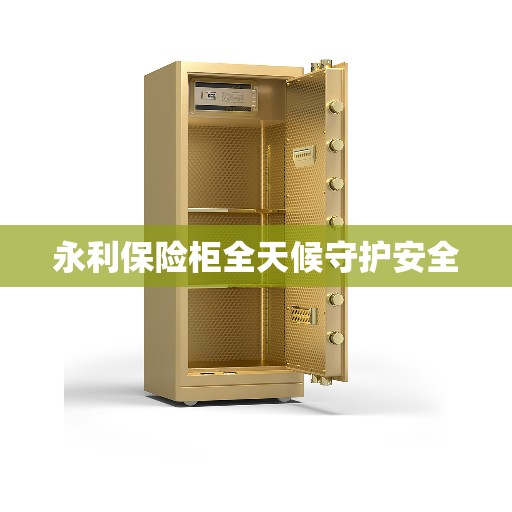 永利保险柜全天候守护安全