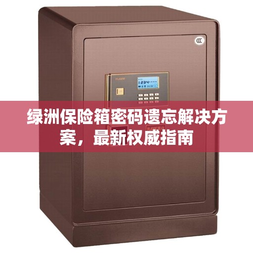 绿洲保险箱密码遗忘解决方案，最新权威指南