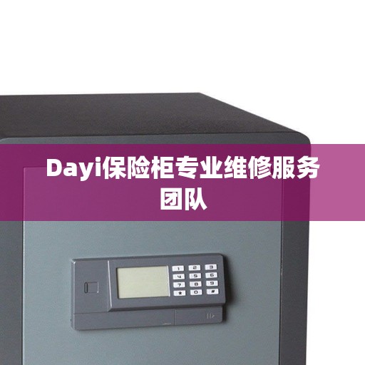 Dayi保险柜专业维修服务团队