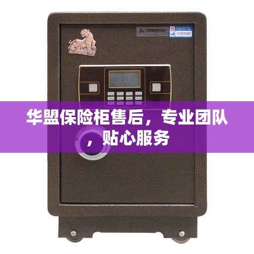 华盟保险柜售后，专业团队，贴心服务