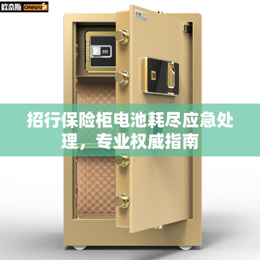 招行保险柜电池耗尽应急处理，专业权威指南