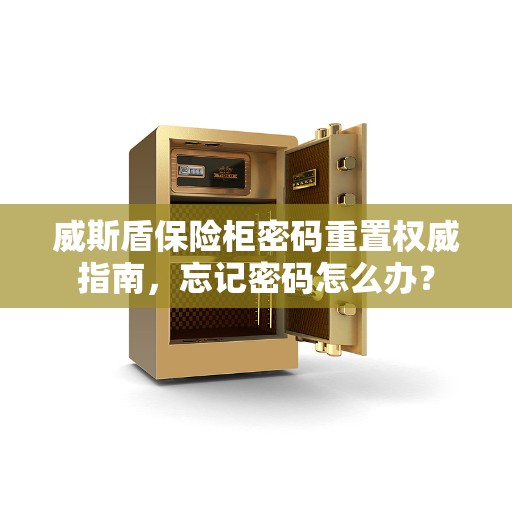 威斯盾保险柜密码重置权威指南，忘记密码怎么办？