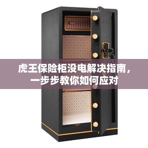 虎王保险柜没电解决指南，一步步教你如何应对