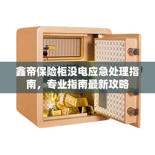 鑫帝保险柜没电应急处理指南，专业指南最新攻略