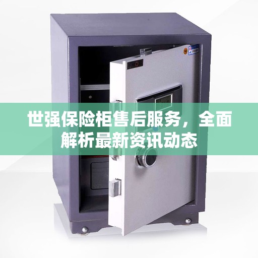 世强保险柜售后服务，全面解析最新资讯动态