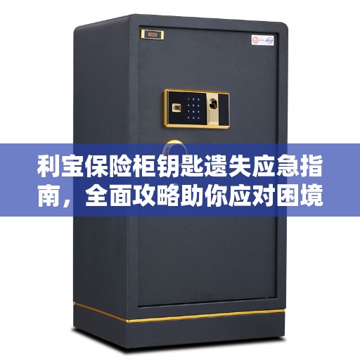 利宝保险柜钥匙遗失应急指南，全面攻略助你应对困境