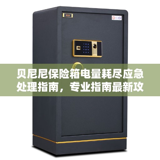 贝尼尼保险箱电量耗尽应急处理指南，专业指南最新攻略