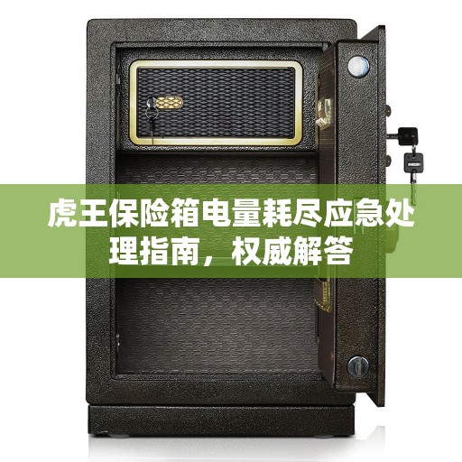 虎王保险箱电量耗尽应急处理指南，权威解答