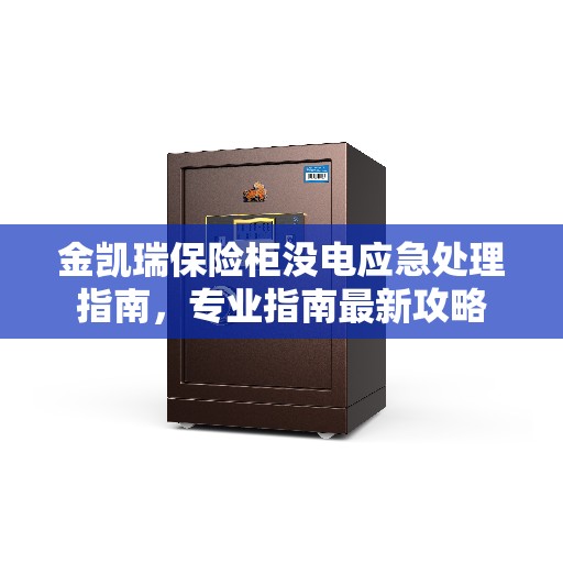 金凯瑞保险柜没电应急处理指南，专业指南最新攻略