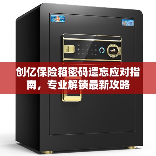 创亿保险箱密码遗忘应对指南，专业解锁最新攻略
