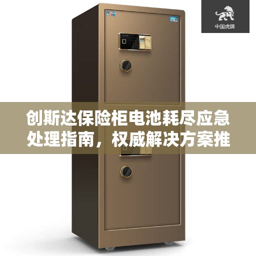 创斯达保险柜电池耗尽应急处理指南，权威解决方案推荐