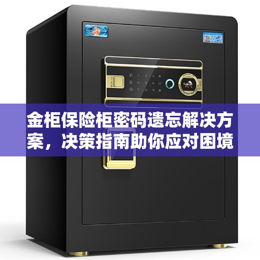金柜保险柜密码遗忘解决方案，决策指南助你应对困境
