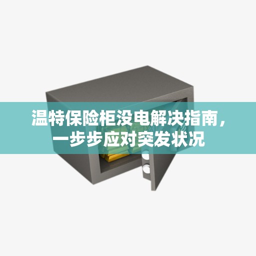 温特保险柜没电解决指南，一步步应对突发状况