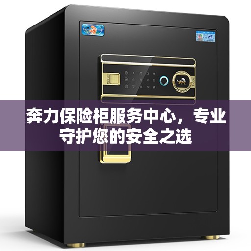 奔力保险柜服务中心，专业守护您的安全之选