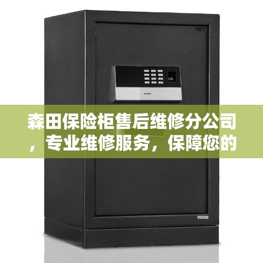 森田保险柜售后维修分公司，专业维修服务，保障您的安全无忧