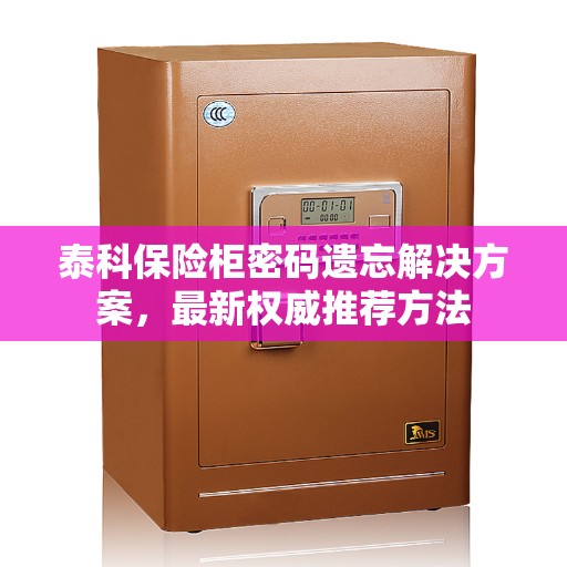 泰科保险柜密码遗忘解决方案，最新权威推荐方法