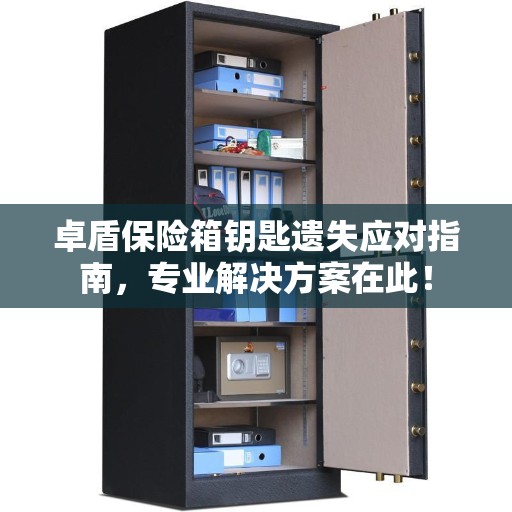 卓盾保险箱钥匙遗失应对指南，专业解决方案在此！