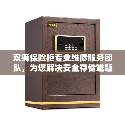 双狮保险柜专业维修服务团队，为您解决安全存储难题