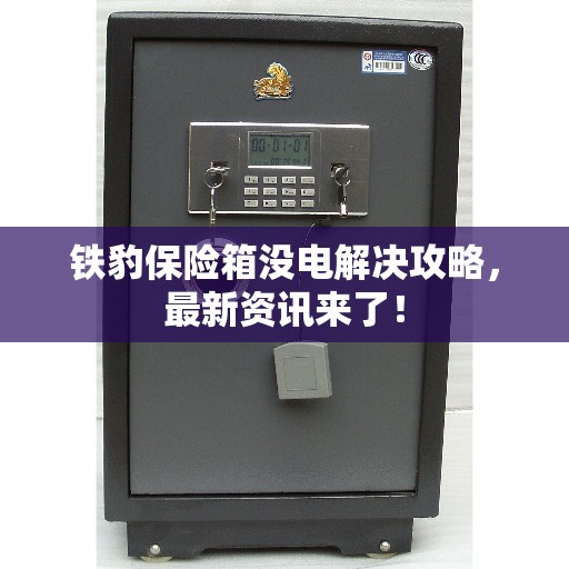 铁豹保险箱没电解决攻略，最新资讯来了！
