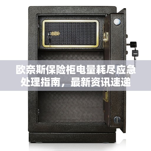 欧奈斯保险柜电量耗尽应急处理指南，最新资讯速递