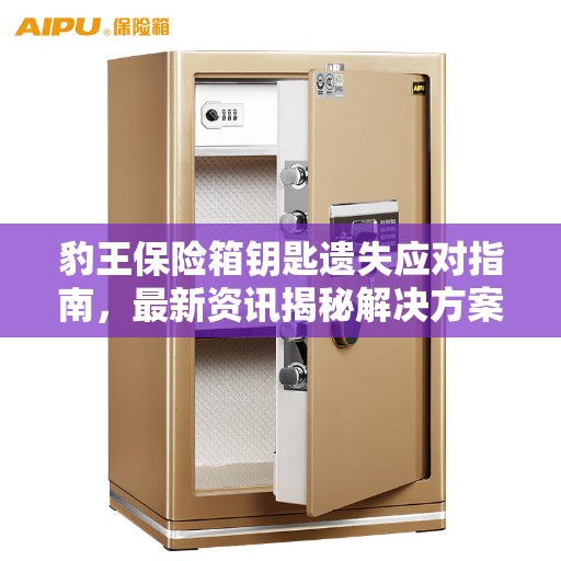 豹王保险箱钥匙遗失应对指南，最新资讯揭秘解决方案