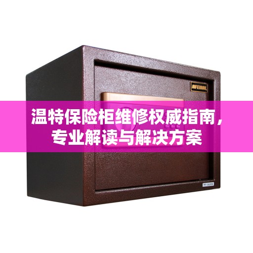 温特保险柜维修权威指南，专业解读与解决方案