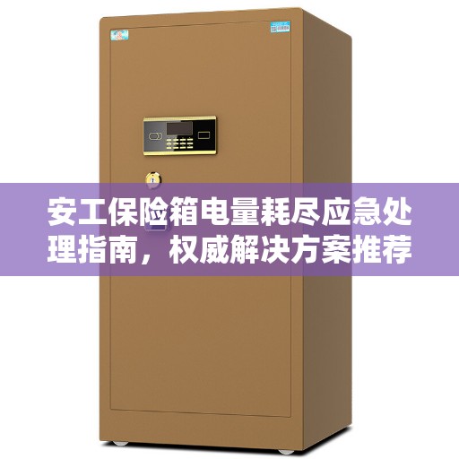 安工保险箱电量耗尽应急处理指南，权威解决方案推荐