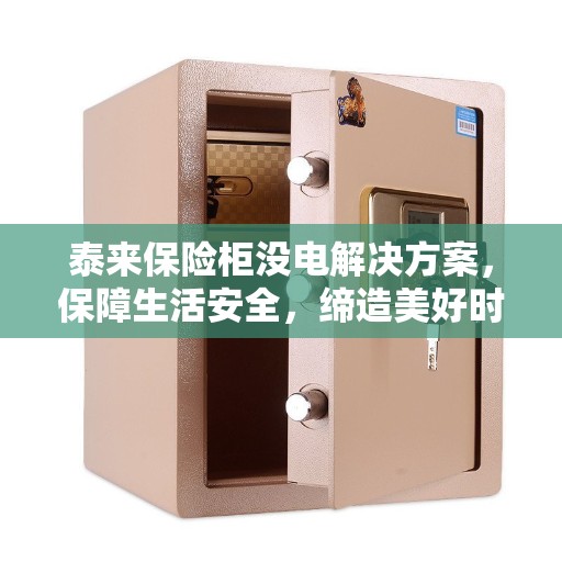 泰来保险柜没电解决方案，保障生活安全，缔造美好时光