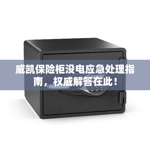 威凯保险柜没电应急处理指南，权威解答在此！