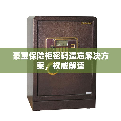 豪宝保险柜密码遗忘解决方案，权威解读