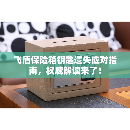 飞盾保险箱钥匙遗失应对指南，权威解读来了！