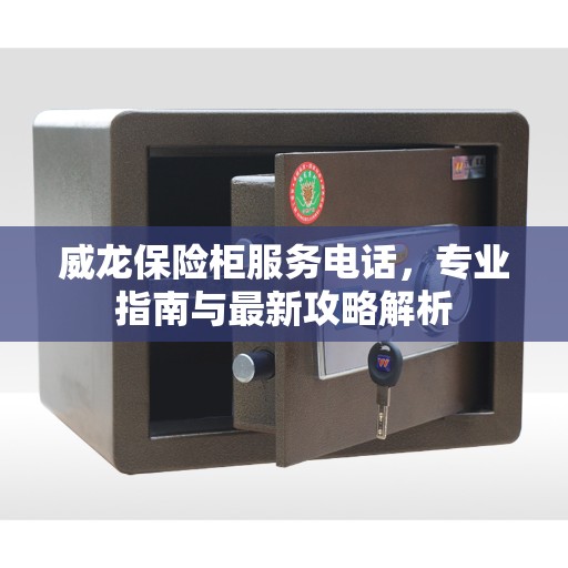 威龙保险柜服务电话，专业指南与最新攻略解析
