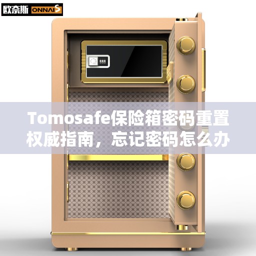 Tomosafe保险箱密码重置权威指南，忘记密码怎么办？