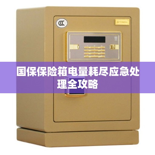 国保保险箱电量耗尽应急处理全攻略