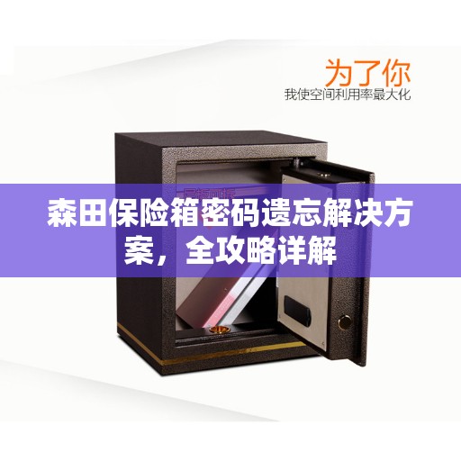 森田保险箱密码遗忘解决方案，全攻略详解