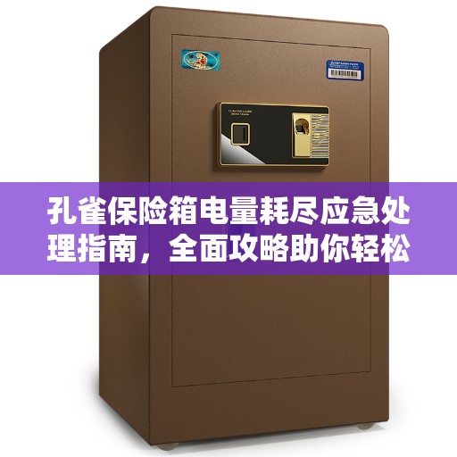 孔雀保险箱电量耗尽应急处理指南，全面攻略助你轻松应对