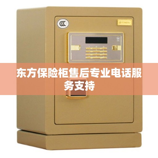 东方保险柜售后专业电话服务支持