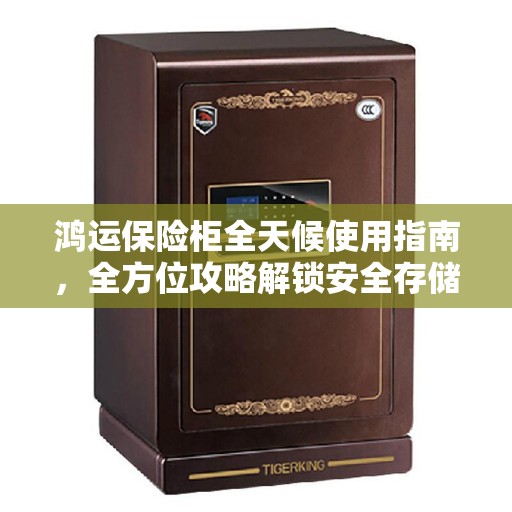 鸿运保险柜全天候使用指南，全方位攻略解锁安全存储秘籍