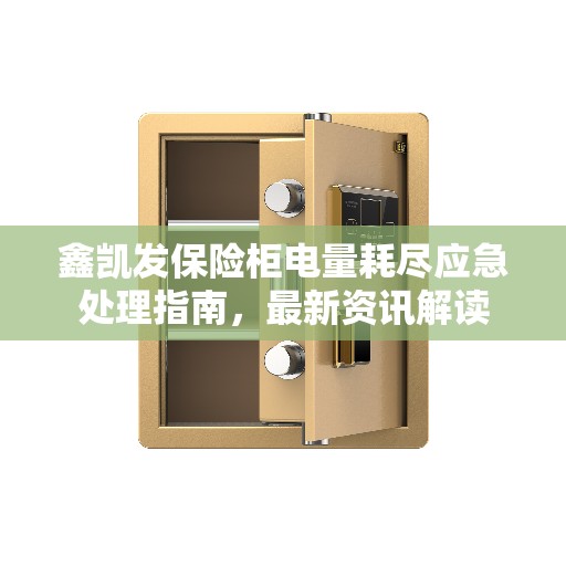 鑫凯发保险柜电量耗尽应急处理指南，最新资讯解读