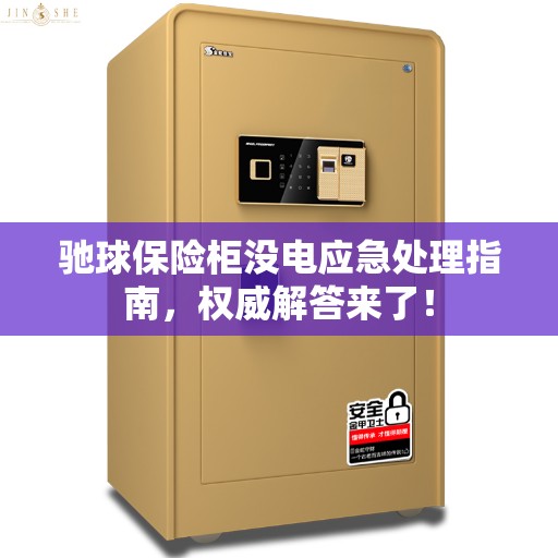 驰球保险柜没电应急处理指南，权威解答来了！