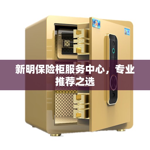新明保险柜服务中心，专业推荐之选