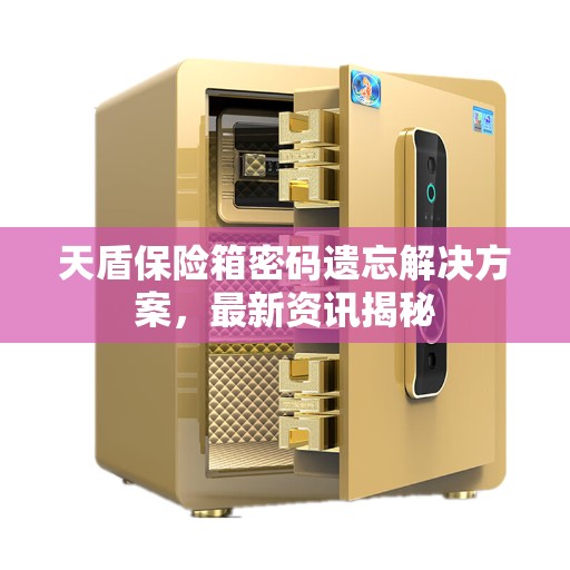 天盾保险箱密码遗忘解决方案,最新资讯揭秘 天盾保险箱密码遗忘解决方案,最新资讯揭秘