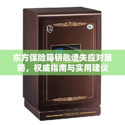 东方保险箱钥匙遗失应对策略，权威指南与实用建议