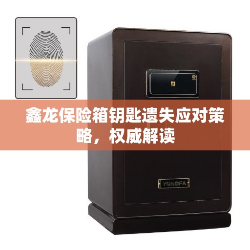 鑫龙保险箱钥匙遗失应对策略，权威解读