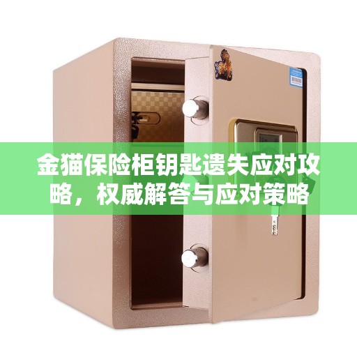 金猫保险柜钥匙遗失应对攻略，权威解答与应对策略