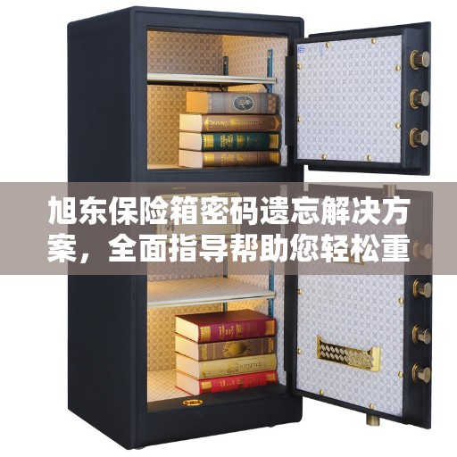 旭东保险箱密码遗忘解决方案，全面指导帮助您轻松重置密码