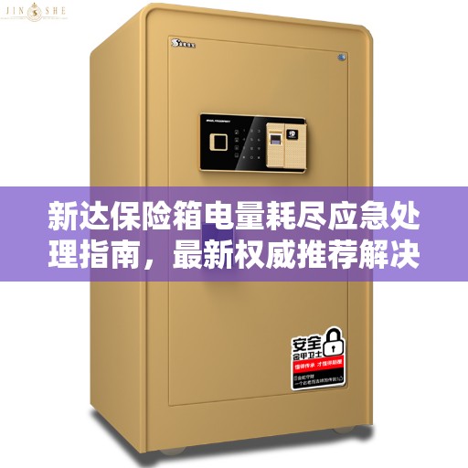 新达保险箱电量耗尽应急处理指南，最新权威推荐解决方案