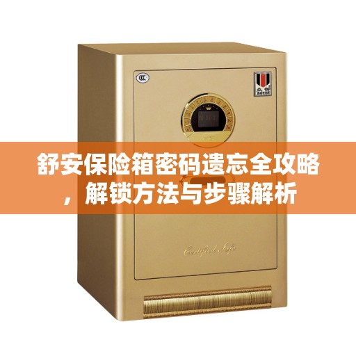 舒安保险箱密码遗忘全攻略，解锁方法与步骤解析