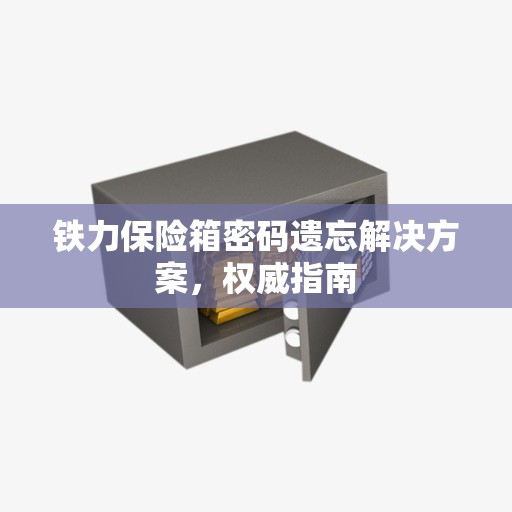 铁力保险箱密码遗忘解决方案，权威指南