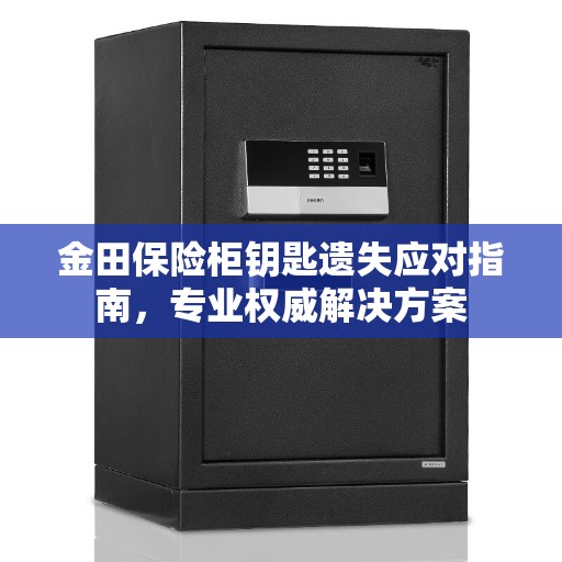 金田保险柜钥匙遗失应对指南，专业权威解决方案